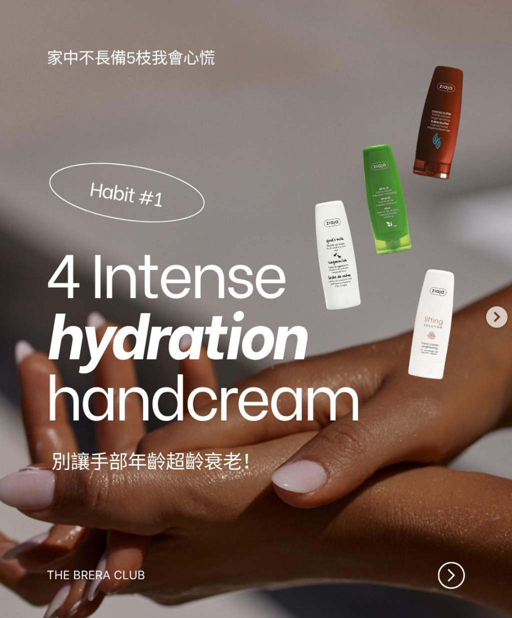 【5枝減-$50】四款經典handcream全系列